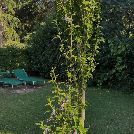 Apartamento La Casa Gialla *